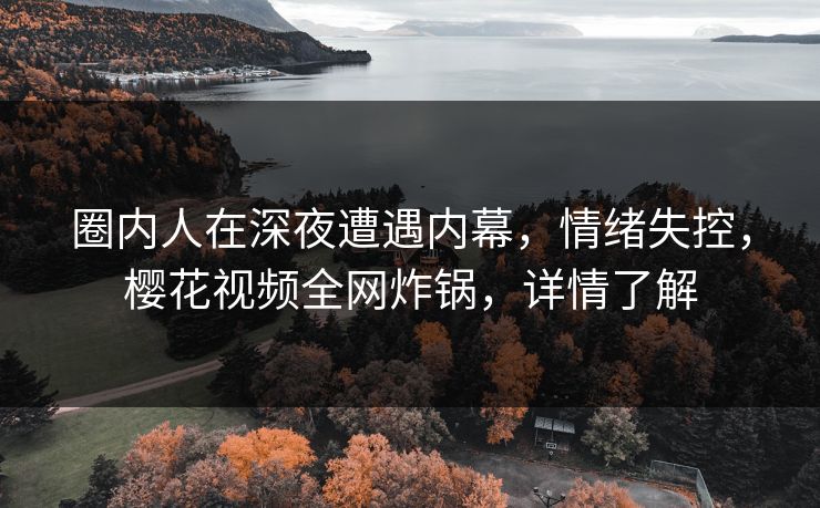 圈内人在深夜遭遇内幕，情绪失控，樱花视频全网炸锅，详情了解