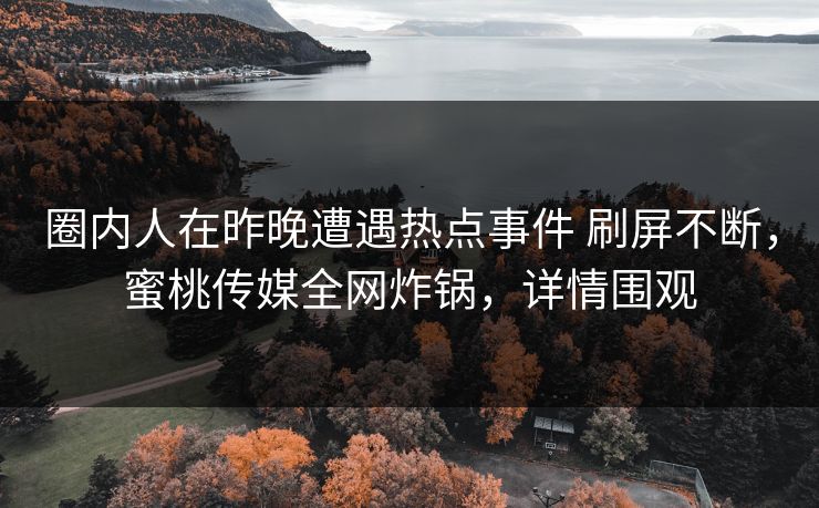 圈内人在昨晚遭遇热点事件 刷屏不断，蜜桃传媒全网炸锅，详情围观