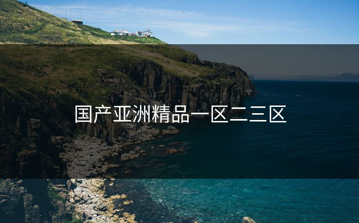 国产亚洲精品一区二三区