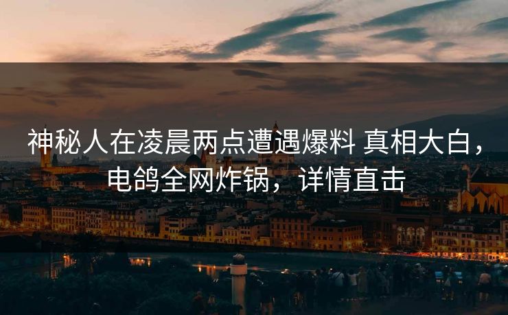 神秘人在凌晨两点遭遇爆料 真相大白，电鸽全网炸锅，详情直击