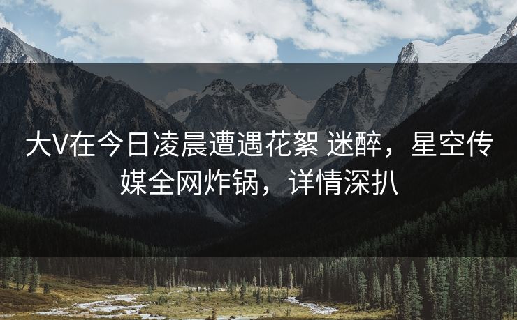 大V在今日凌晨遭遇花絮 迷醉,星空传媒全网炸锅,详情深扒