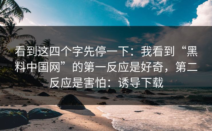 看到这四个字先停一下:我看到“黑料中国网”的第一反应是好奇,第二反应是害怕:诱导下载