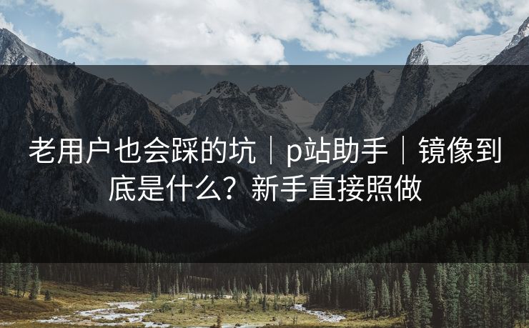 老用户也会踩的坑｜p站助手｜镜像到底是什么？新手直接照做