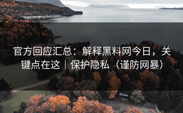 官方回应汇总：解释黑料网今日，关键点在这｜保护隐私（谨防网暴）